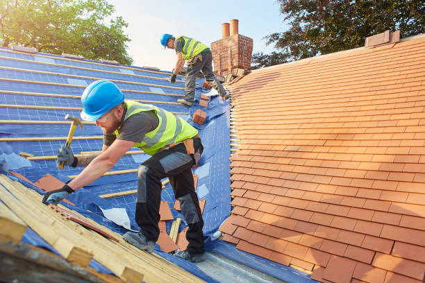Best Roof Ventilation Installation  in Basalt, CO